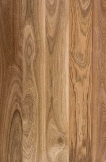 Picture of Maxwell Hardwood Flooring - Townsend Additions Select and Better 4 Walnut