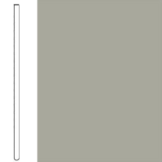 Picture of Flexco - Base 2000 Wall Base 4 Straight Light Gray