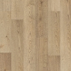 Picture of Chesapeake Flooring - Cromwell European Oak Paint Branch