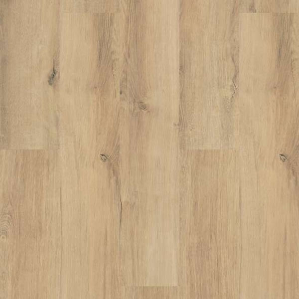 Picture of Shaw Floors - Endura Plus Marina
