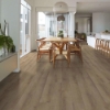Picture of Shaw Floors - Endura Plus Marina