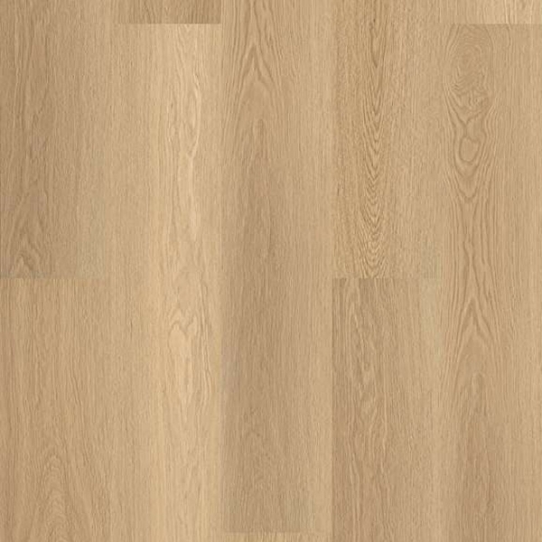 Picture of Shaw Floors - Endura Plus Castaway