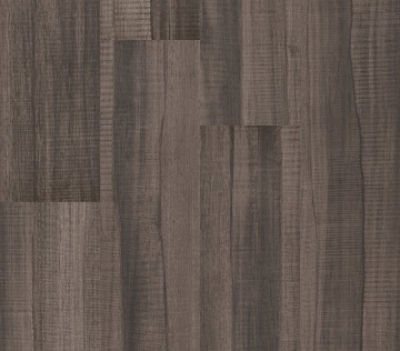 Picture of Philadelphia Commercial by Shaw - Sustain 20 Cotton Seed