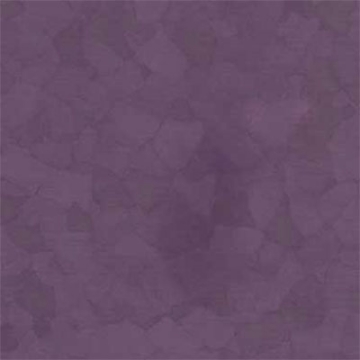 Picture of VPI Corp. - PRT Earthtones Feature Strip 1 x 24 Aztec Amethyst