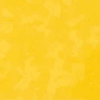 Picture of VPI Corp. - PRT Earthtones Feature Strip 1 x 36 Lemon Rock