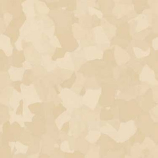 Picture of VPI Corp. - PRT Earthtones Feature Strip 4 x 24 Inca Stone