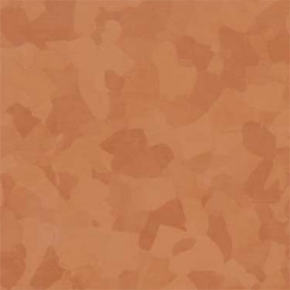 Picture of VPI Corp. - PRT Earthtones Feature Strip 4 x 36 Mexican Fire Opal