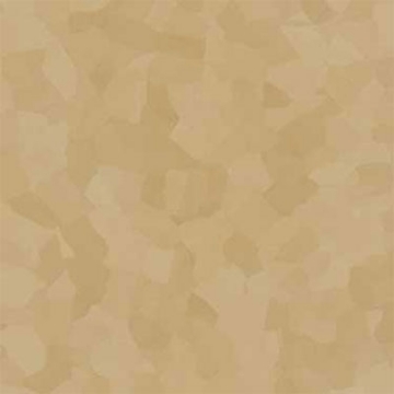 Picture of VPI Corp. - PRT Earthtones Feature Strip 5 x 24 African Granite