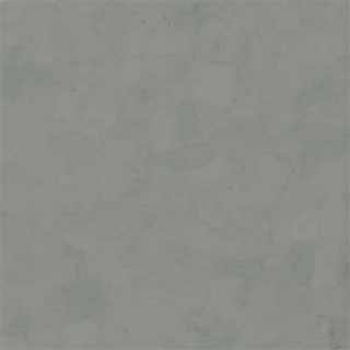 Picture of VPI Corp. - PRT Earthtones Feature Strip 5 x 24 Alberta Platinum