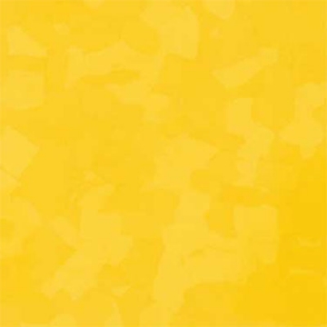 Picture of VPI Corp. - PRT Earthtones Feature Strip 5 x 24 Lemon Rock