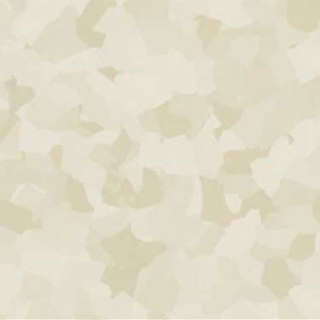 Picture of VPI Corp. - PRT Earthtones Feature Strip 5 x 36 Peruvian Pearl