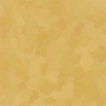 Picture of VPI Corp. - PRT Earthtones Feature Strip 6 x 24 Grand Canyon Yellow
