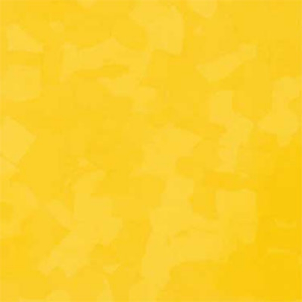 Picture of VPI Corp. - PRT Earthtones Feature Strip 6 x 24 Lemon Rock