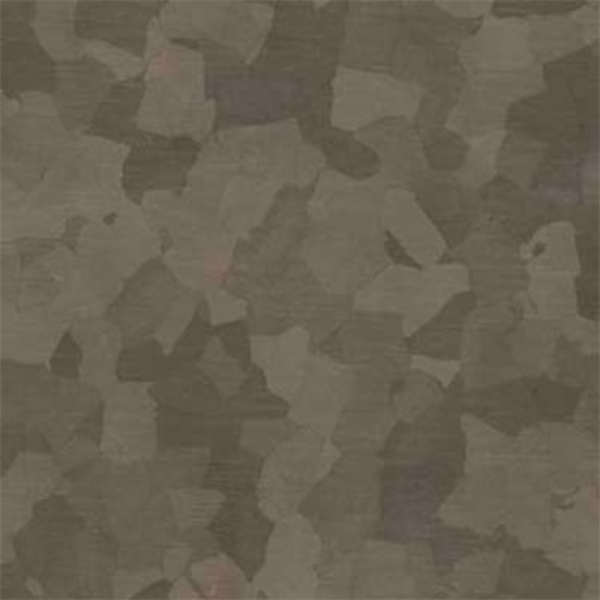 Picture of VPI Corp. - PRT Earthtones Feature Strip 6 x 36 Onyx Fossil