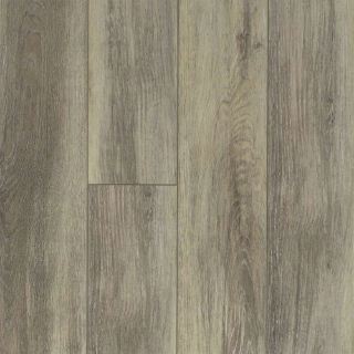 Picture of Shaw Floors - Tivoli Plus Delfino