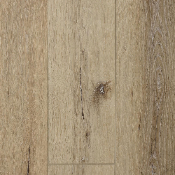 Picture of AxisCor - Axis Pro 7 Twin Bridges