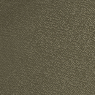 Picture of Johnsonite - Solid Colors Forged Boxwood