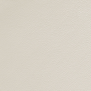 Picture of Johnsonite - Solid Colors Forged Pearl