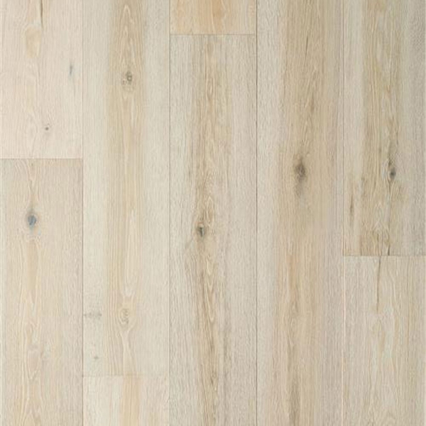 Picture of Nuvelle - Sea Harbor Abalone