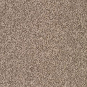 Picture of SFI Floors - Capital Mockingbird