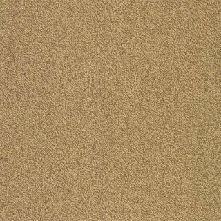 Picture of SFI Floors - Capital Parakeet