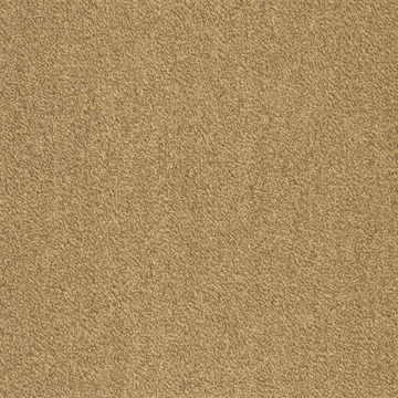 Picture of SFI Floors - Capital Parakeet