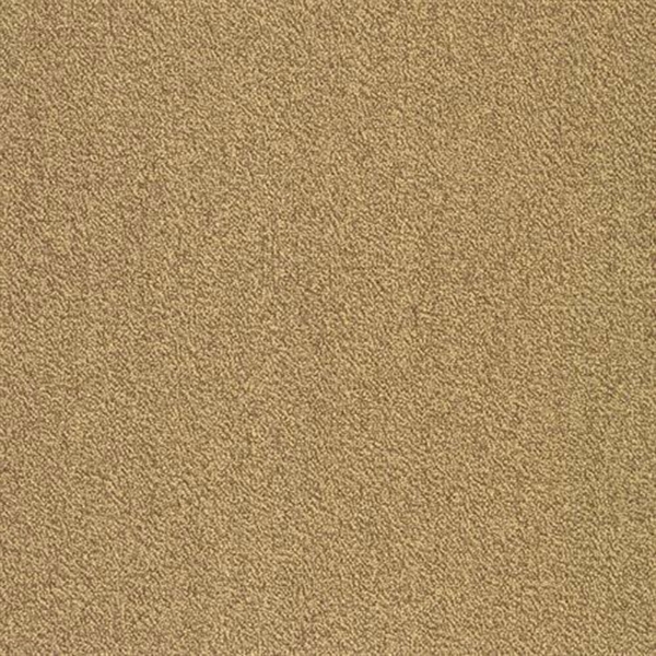 Picture of SFI Floors - Capital Parakeet