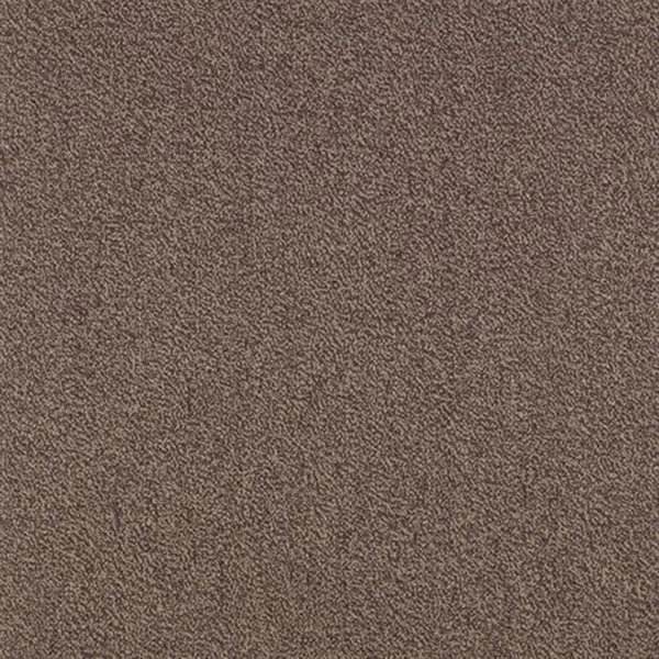 Picture of SFI Floors - Capital Seagull