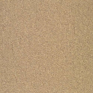 Picture of SFI Floors - Capital Swan Song