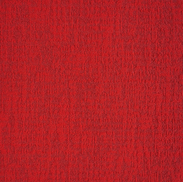 Picture of Mannington Commercial - Transmit Live Stream