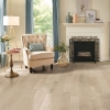 Picture of HomerWood - Simplicity Prime Frost Oak