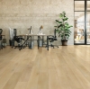 Picture of Metroflor - Deja New San Marcos Oak Rye