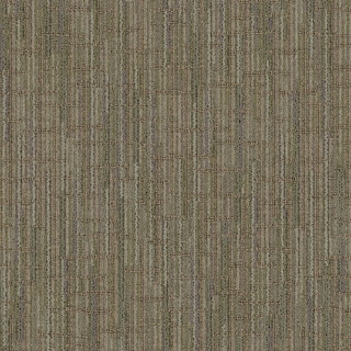 Picture of Mohawk Group - Foward Vision Vision