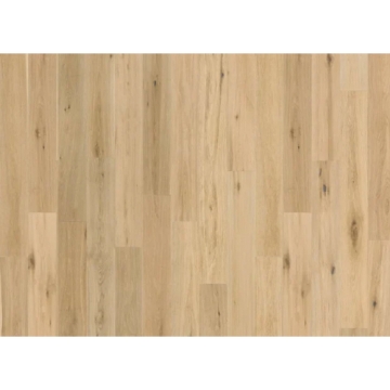 Picture of Nuvelle - Sea Harbor Macaroon