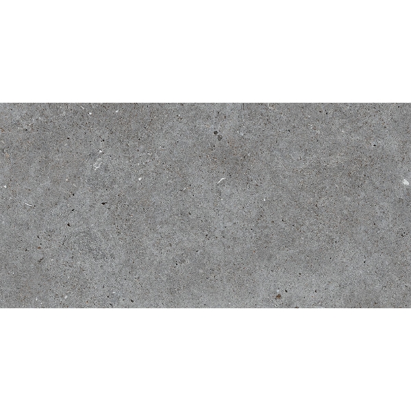 Picture of Roca - Stone Basel 12 x 24 Grafito