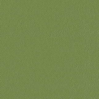 Picture of Burke - Colorscape Sculptured 18 x 18 Sugar Snap