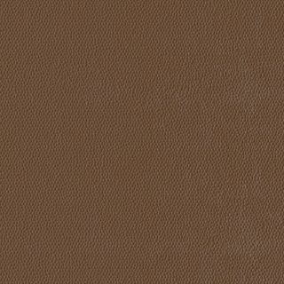 Picture of Burke - Colorscape Sculptured 18 x 18 Tumbleweed