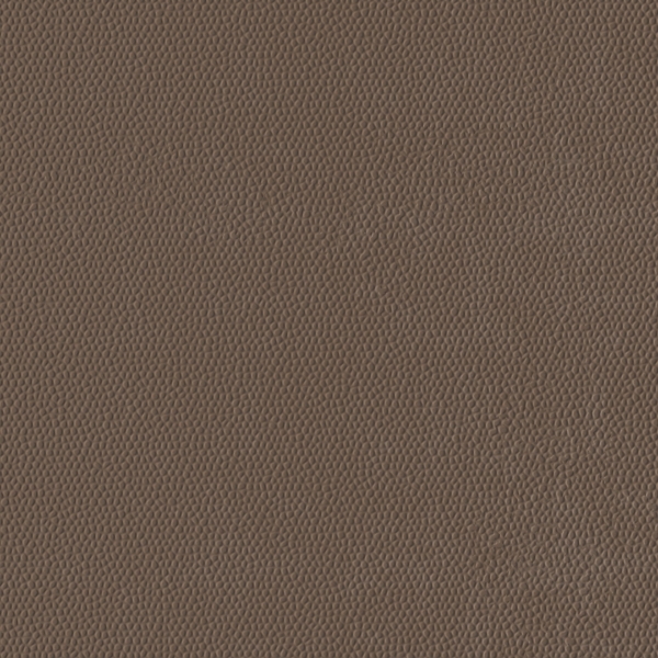 Picture of Burke - Colorscape Sculptured 36 x 36 Mocha