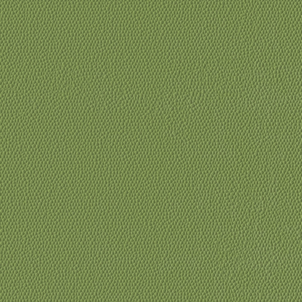 Picture of Burke - Colorscape Sculptured 36 x 36 Sugar Snap