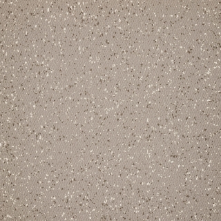 Picture of Burke - Colorspec Sculptured 36 x 36 Gray Dog