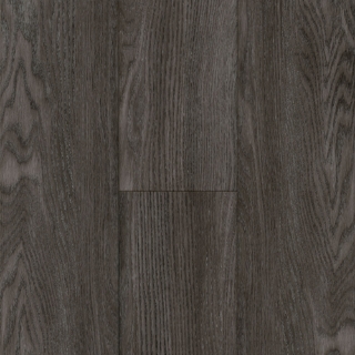 Picture of Bruce - LifeSeal Trending Lunar Gray