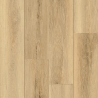 Picture of Palmetto Road - Emerald Isle Surf