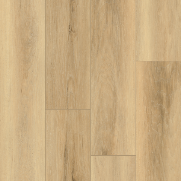 Picture of Palmetto Road - Emerald Isle Surf