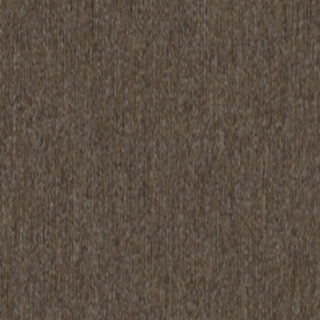 Picture of 5th and Main - Beyond Limits Fauna