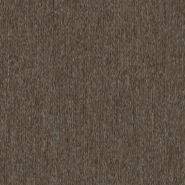 Picture of 5th and Main - Beyond Limits Fauna