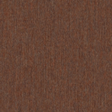 Picture of 5th and Main - Beyond Limits Terra