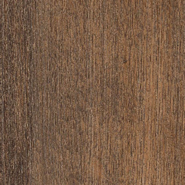 Picture of 5th and Main - Symbiotic 20 Thicket