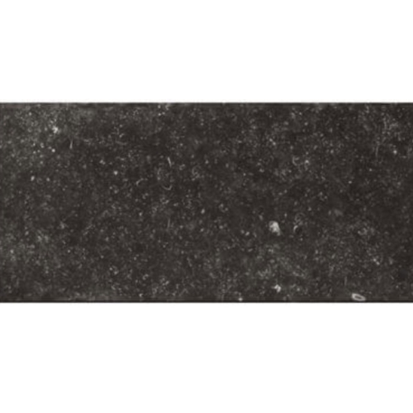 Picture of Edimax Ceramiche Astor - Belgica 12 x 24 Belgica