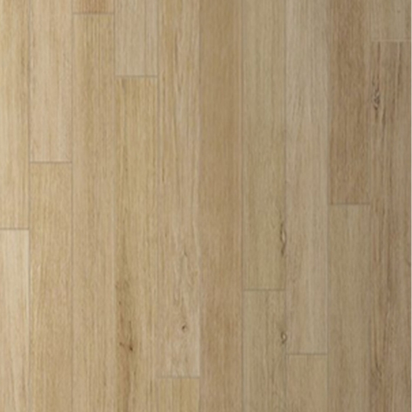 Picture of Edimax Ceramiche Astor - Naturel 8 x 48 Clair