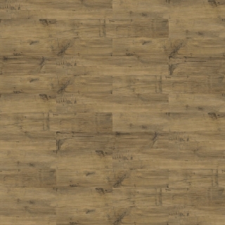 Picture of Shaw Contract - Uncommon Ground 6 Heritage